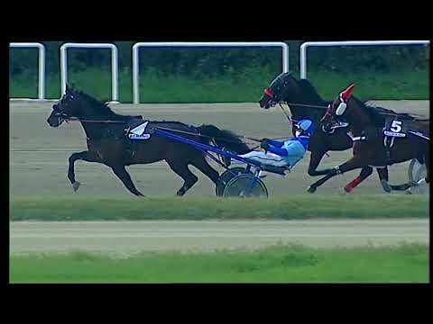 Napoli Trotto 18/03/2022 - 6ª corsa