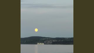 Download lagu The Ancient Tigris mp3 Download lagu The Ancient Tigris mp3