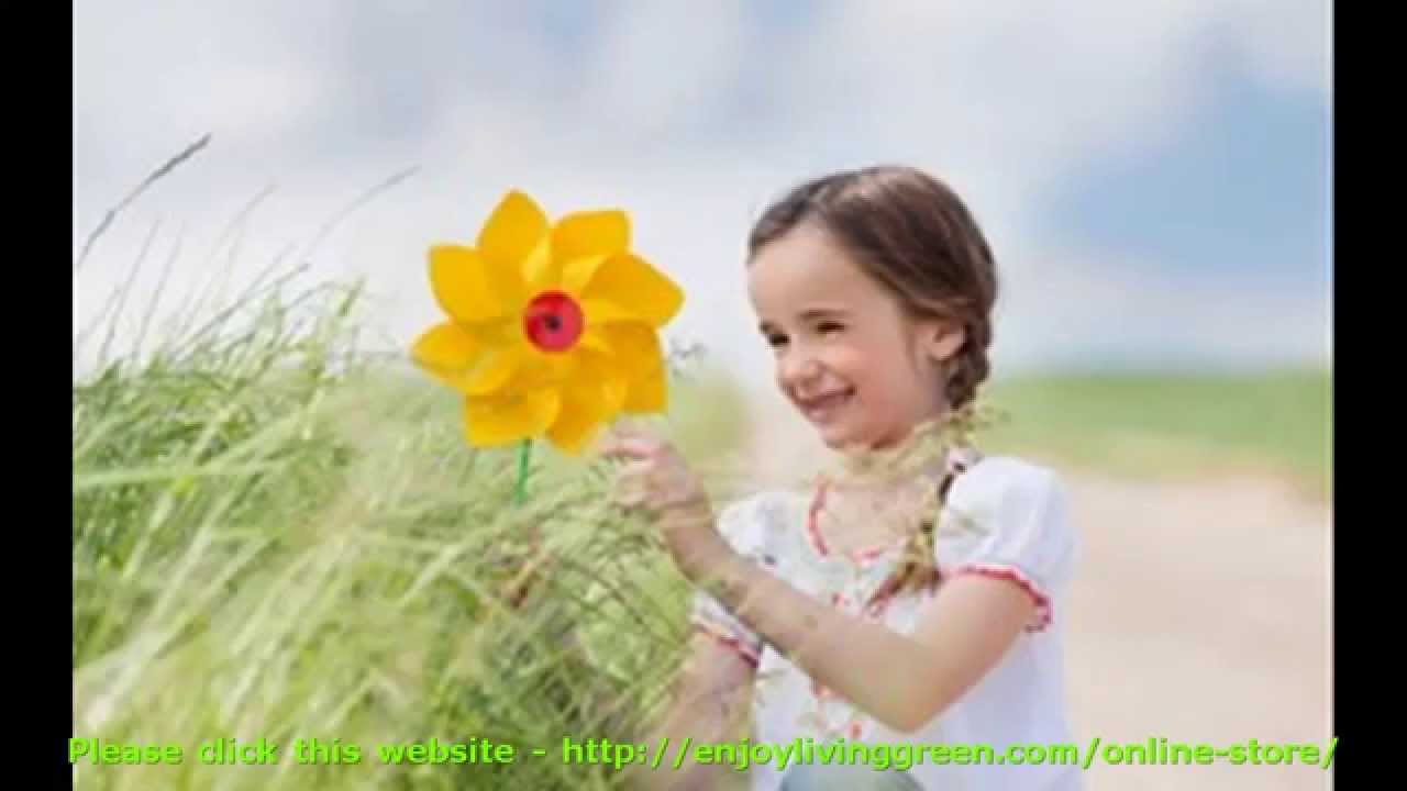 Alternative energy biofuels