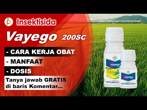 Fayego_