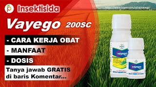 Vayego 200 SC Insecticide Review - Active Ingredients, Benefits, Dosage, How It Works, and Advant...