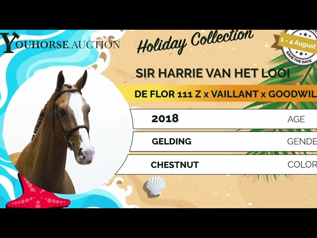 Sir Harrie van 't Looi showvideo indoor
