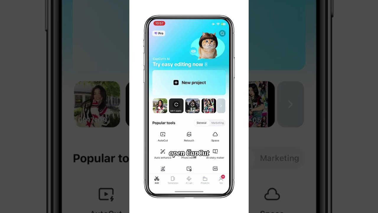 AI pet dancing on CapCut free💕