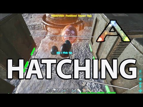 Baryonyx Breeding and Other Dino Hatching: Ark Survival Evovled