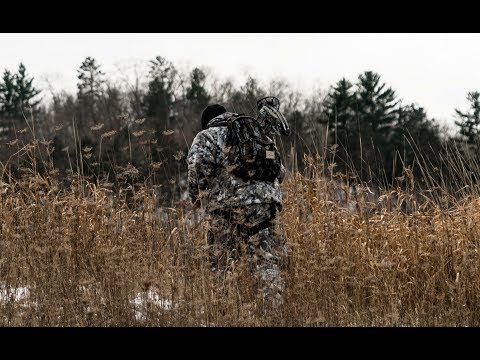 What Time To Access Your Deer Stand In The Morning
