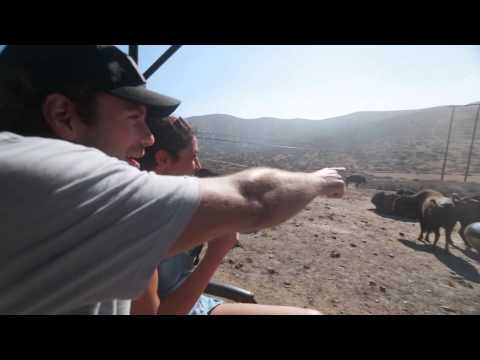 Hummer Tours and Land Adventures on Catalina Island