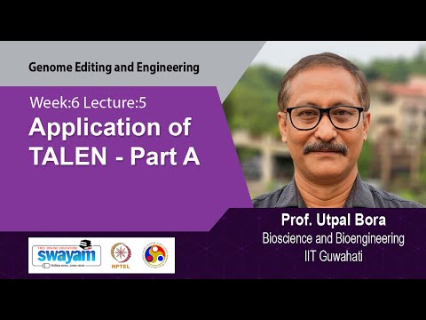 Genome Editing and Engineering Intro Video