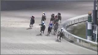 R6 DELTA DOWNS 29 JAN 2026