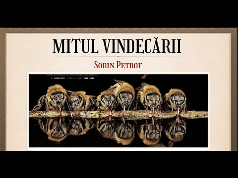 Nebunia Crucii: 3. Mitul vindecării - Sorin Petrof
