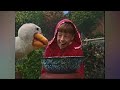 Here Comes Opening To Barney Friends The Complete Second Season Tape 4 Episode 2 UK Version