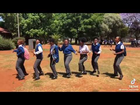 Toss x Felo Le Tee - Ncebeleka  ( Dance Compilation ) #ncebeleka #feloletee