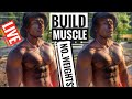 How to Build Muscle | Q&A | Calisthenics For Mass Gain