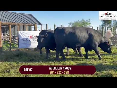 LOTE 7 Remate San Gerardo – Florida 1° Octubre