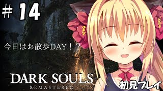 【ダークソウル/DARK SOULS】果たして次はどこに行けばいいのでしょうか・・・？【華香院つばき】
