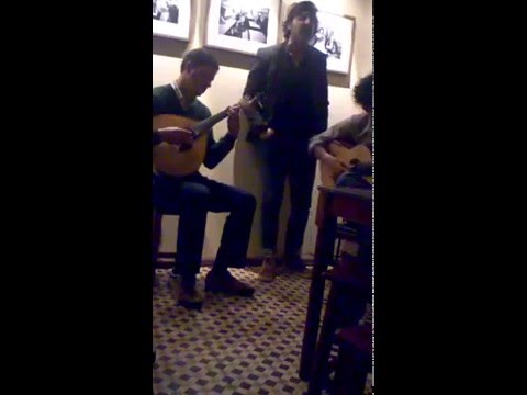 João Sacramento Fado Acácio