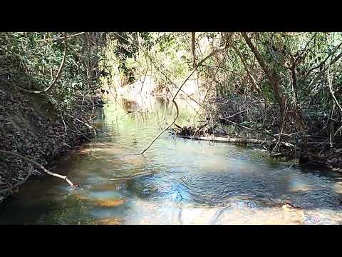 Chácara de 3.500M2 COM RIO DE FUNDOS VALOR 65 MIL EM CRISTIANÓPOLIS GO62 98141 4270