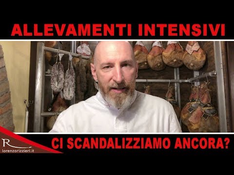 Allevamenti intensivi: perchè ci scandalizziamo ancora? - lorenzorizzieri.it