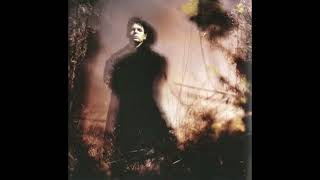 gary numan slave