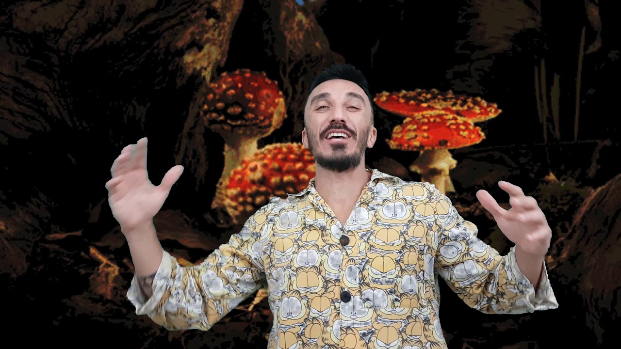 FUNGOS - PARÓDIA/MÚSICA - AUTOR: PAPI TUKA