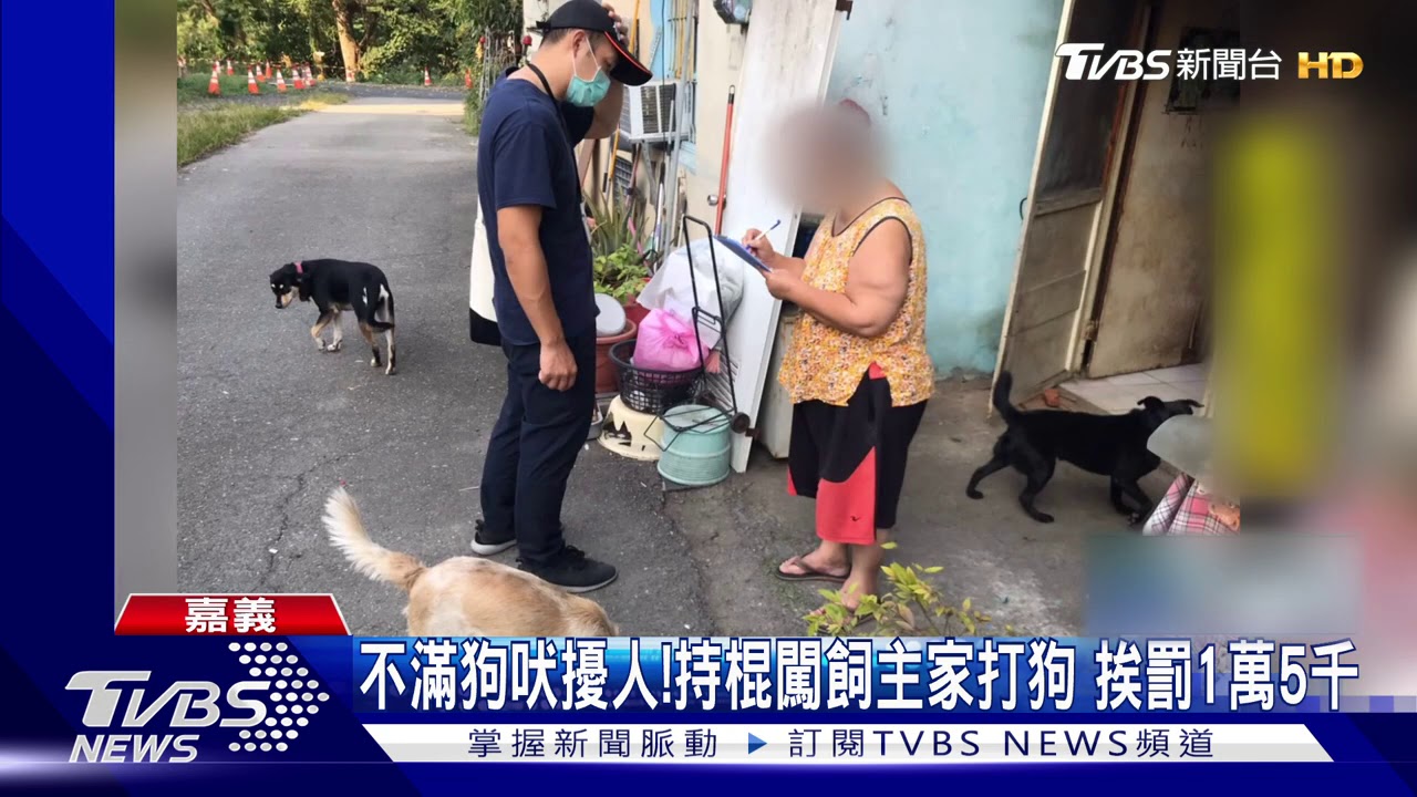 不滿狗吠擾人!持棍闖飼主家打狗 挨罰1萬5千