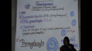 17) Dr.Gihan [Bone Marrow - Hemeopoisis]