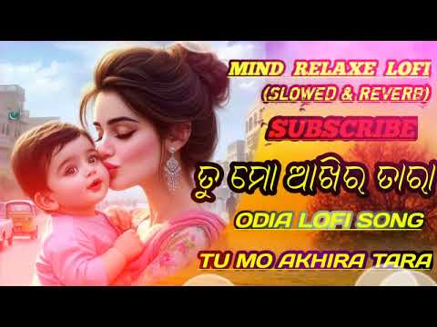 (TU MO AKHIRA TARA) Haert Touching Lofi Song Mind Relaxe