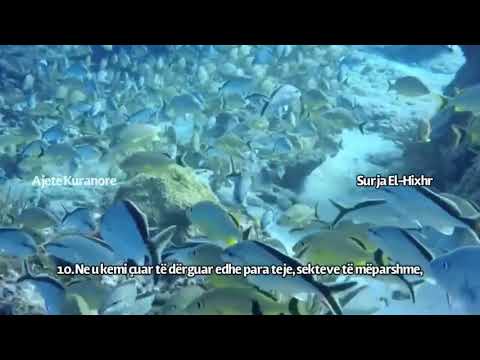 Surja El-Hixhr , ajetet 9-18 ,  (ajete kuranore ne facebook)