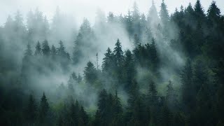 Message From Sylvia - Heart of War (LEGENDADO PT-BR)