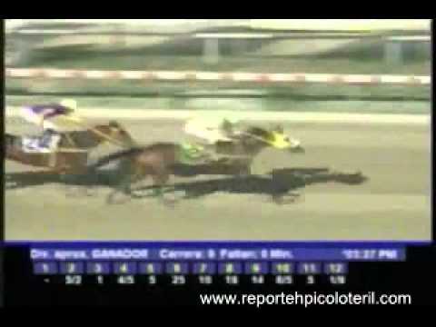 Resumen Sábado 21 de Enero de 2012 - La Rinconada.wmv