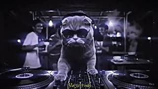 Download lagu DJ TAK SEDALAM INI SLOWED MENGKANE MAKIN LAMA MAKIN ASIK VIRAL TIKTOK 2025 mp3 Download lagu DJ TAK SEDALAM INI SLOWED MENGKANE MAKIN LAMA MAKIN ASIK VIRAL TIKTOK 2025 mp3