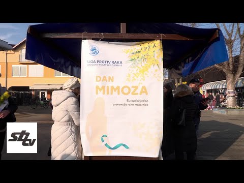 SBTV - SB INFO - DAN MIMOZA - PREVENCIJA RAKA VRATA MATERNICE - 24.01.2026.