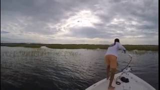 faze tari pescar la apa