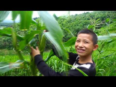 Npeev Ncig Teb Chaws 2021 Ep.84