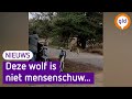 GLD Nieuws 25 oktober 2022