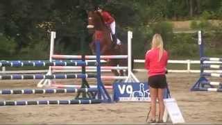 Ziggy Marley m2s - showjumping
