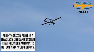 FlightHorizon PILOT: Onboard Detect-and-Avoid for UAS