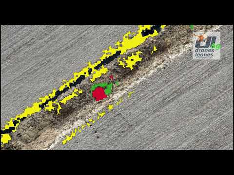 Drones Leones Inteligencia Aérea para Gestión Hídrica.  #agriculturadeprecision #agricultura #mapeo
