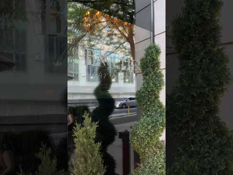 Crítica do Bavette's Steak House em Chicago