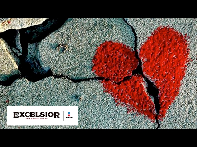 Youtube Imagen
