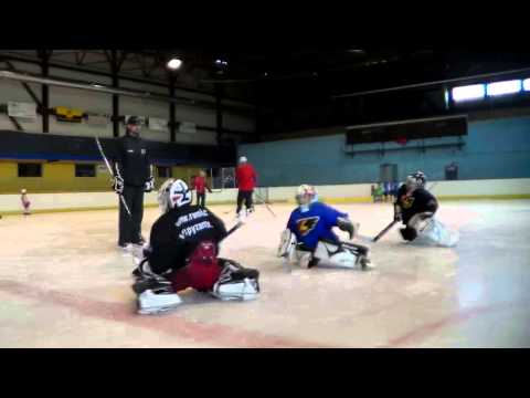 , title : 'LM HOCKEYTRAINER : příprava na ledě v podání LM hockey Trainer'