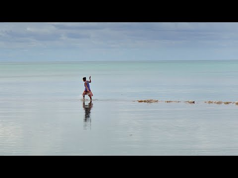 Internationella händelser – Klimatförändringar och haven