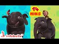 யானை பெரிய யானை Tamil Rhymes For Children Infobells