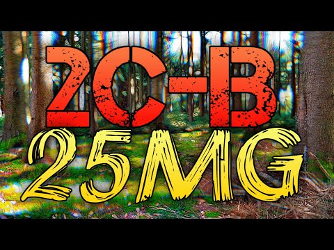 2CB at 25mg | Experience