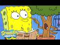 SpongeBob S Talking Tree Roasts EVERYONE Full Scene SpongeBob