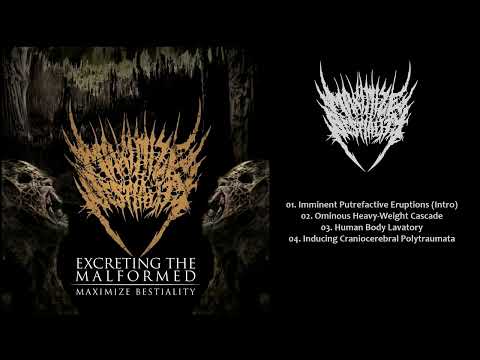 ⚫ 𝐌𝐚𝐱𝐢𝐦𝐢𝐳𝐞 𝐁𝐞𝐬𝐭𝐢𝐚𝐥𝐢𝐭𝐲 - 𝐄𝐱𝐜𝐫𝐞𝐭𝐢𝐧𝐠 𝐓𝐡𝐞 𝐌𝐚𝐥𝐟𝐨𝐫𝐦𝐞𝐝 (𝐄𝐏) 𝟐𝟎𝟏𝟑