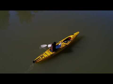 CerebRUM - MMDSZ Diáknapok 2022