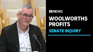 Woolworths CEO Brad Banducci grilled in Senate inquiry into price gouging | ABC News