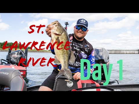 MLF Pro Circuit Day-1 On The ST. LAWRENCE RIVER!  Can Largemouth Get Me To The TITLE??