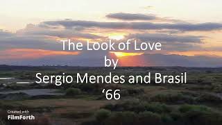 Sergio Mendes and Brasil &#39;66 - The Look of Love