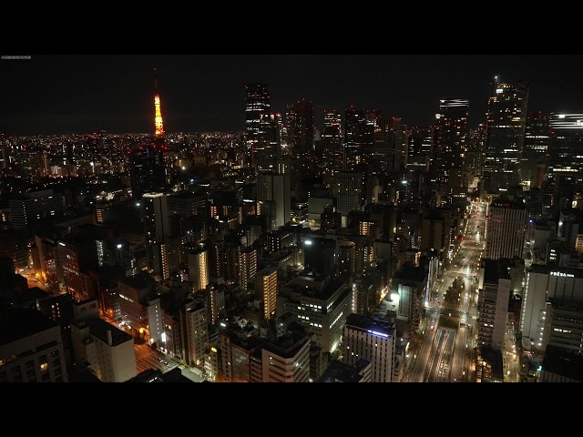 東京汐留望新橋